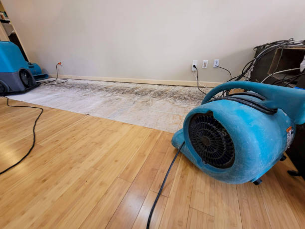 Professional Water Damage Repair technician working in Angola, IN